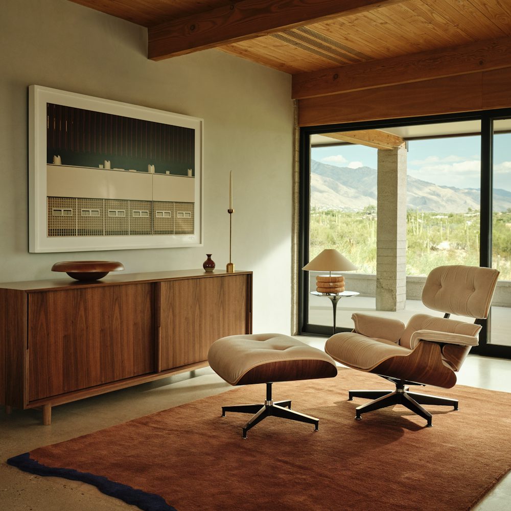 Brush Rug (2)
